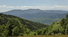 0249_TZ60_P1110809_cr