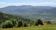 0253_TZ60_P1110812_cr