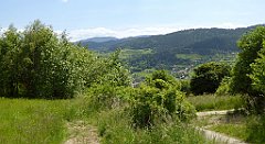 0325_TZ60_P1110838_cr