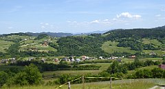 0333_TZ60_P1110845_cr