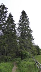 037_TZ60_P1110889_cr