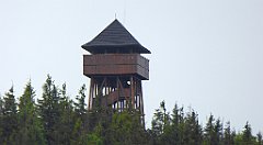 058_TZ60_P1110915_cr