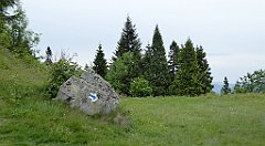 059_TZ60_P1110916_cr