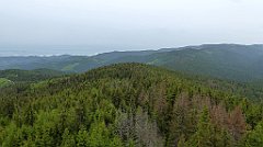 069_TZ60_P1110933_cr