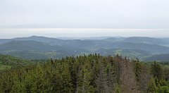 073_TZ60_P1110942_cr