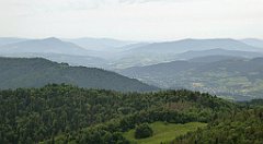 074_TZ60_P1110943_cr