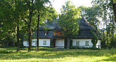 0008b_3D_P1080740_cr