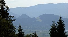 0120_TZ60_P1120071_cr