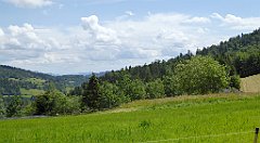 0195_TZ60_P1120121_cr