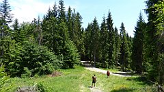 0213_TZ60_P1120133_cr