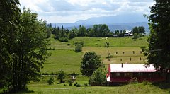 0234_TZ60_P1120148_cr