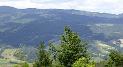 0261_TZ60_P1120159_cr