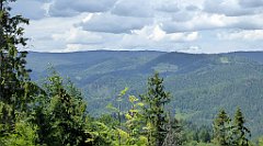 0266_TZ60_P1120163_cr