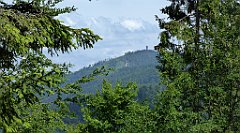 0275_TZ60_P1120168_cr