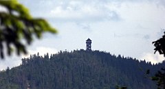 0276_TZ60_P1120169_cr