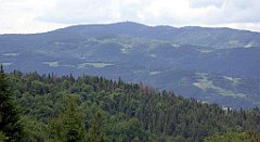 0279_TZ60_P1120171_cr