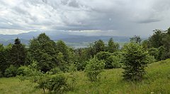 0296_TZ60_P1120188_cr