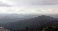 0328a_3D_P1080874_cr