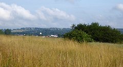 0060_TZ60_P1120269_cr