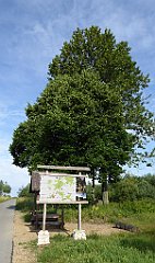 0070_TZ60_P1120279_cr