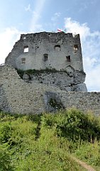 0104_TZ60_P1120302_cr