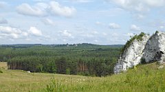 0128_TZ60_P1120312_cr