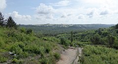 0150_TZ60_P1120316_cr