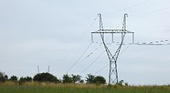 0311_TZ60_P1120338_cr