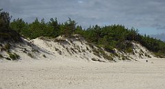 0201_TZ60_P1120538_cr