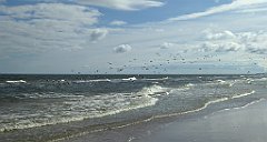 0229a_TZ60_P1120569_cr