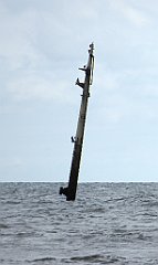 0280_TZ60_P1120616_cr