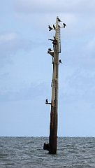 0291_TZ60_P1120623_cr