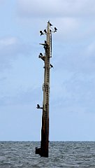 0292_TZ60_P1120624_cr