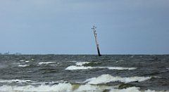 0315_TZ60_P1120647_cr