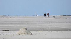 0390_TZ60_P1120696_cr