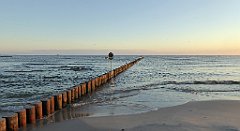 0067_TZ60_P1120775_cr