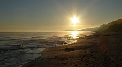 0096a_TZ60_P1120793_cr