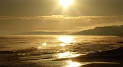 0097_TZ60_P1120789_cr