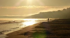 0107_TZ60_P1120799_cr