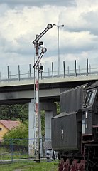 086_TZ60_P1130282_cr