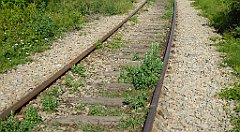 128_TZ60_P1130027_cr