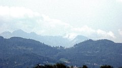 189_TZ60_P1130083_cr