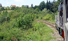 112_TZ60_P1130143_cr