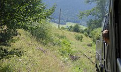 194_TZ60_P1130212_cr