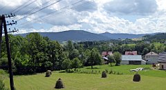 206_TZ60_P1130222_cr