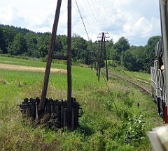 225_TZ60_P1130231_cr