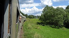 256_TZ60_P1130247_cr