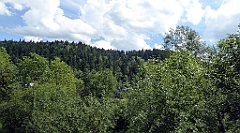 258_TZ60_P1130250_cr