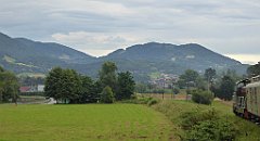 363_TZ60_P1130332_cr