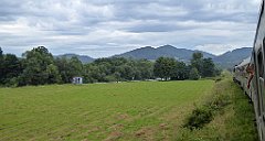 365_TZ60_P1130334_cr